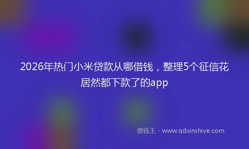 2026年热门小米贷款从哪借钱，整理5个征信花居然都下款了的app