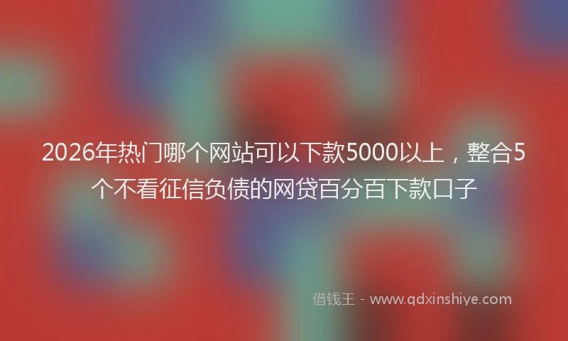 2026年热门哪个网站可以下款5000以上，整合5个不看征信负债的网贷百分百下款口子