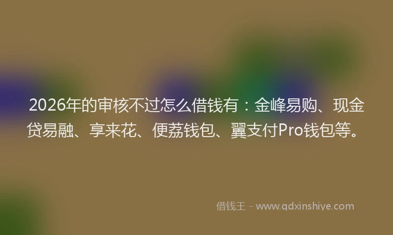 2026年的审核不过怎么借钱有：金峰易购、现金贷易融、享来花、便荔钱包、翼支付Pro钱包等。
