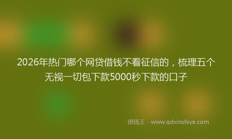 2026年热门哪个网贷借钱不看征信的，梳理五个无视一切包下款5000秒下款的口子