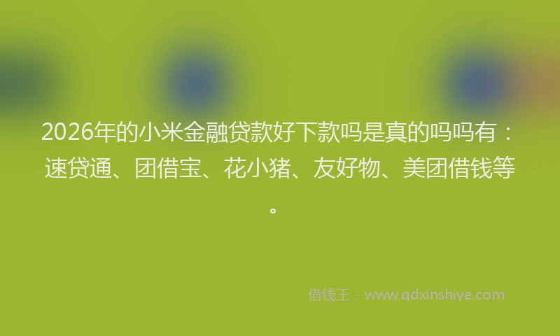 2026年的小米金融贷款好下款吗是真的吗吗有：速贷通、团借宝、花小猪、友好物、美团借钱等。