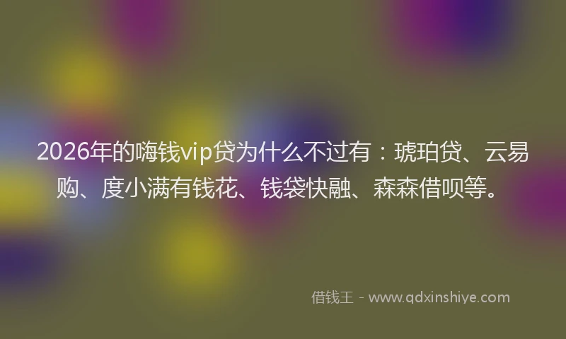 2026年的嗨钱vip贷为什么不过有：琥珀贷、云易购、度小满有钱花、钱袋快融、森森借呗等。