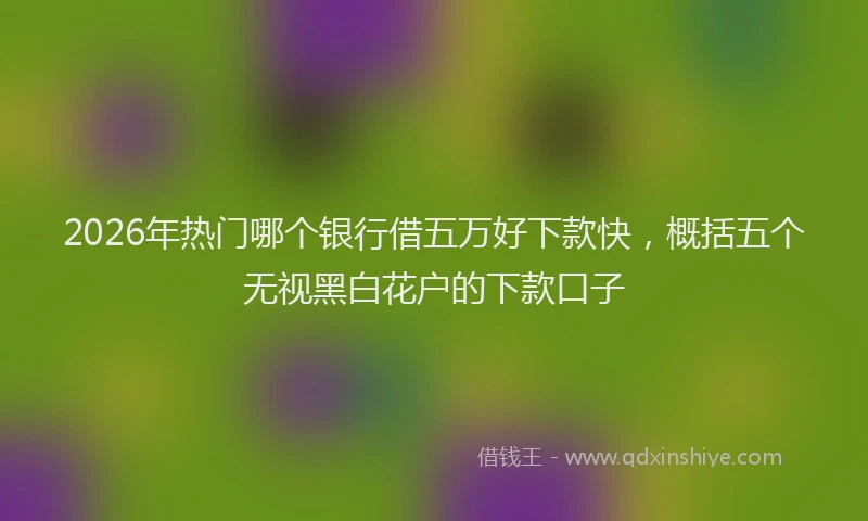 2026年热门哪个银行借五万好下款快，概括五个无视黑白花户的下款口子