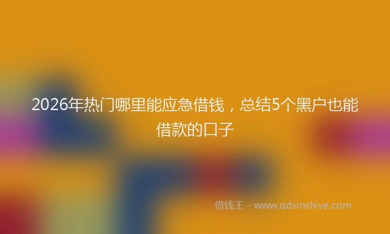 2026年热门哪里能应急借钱，总结5个黑户也能借款的口子