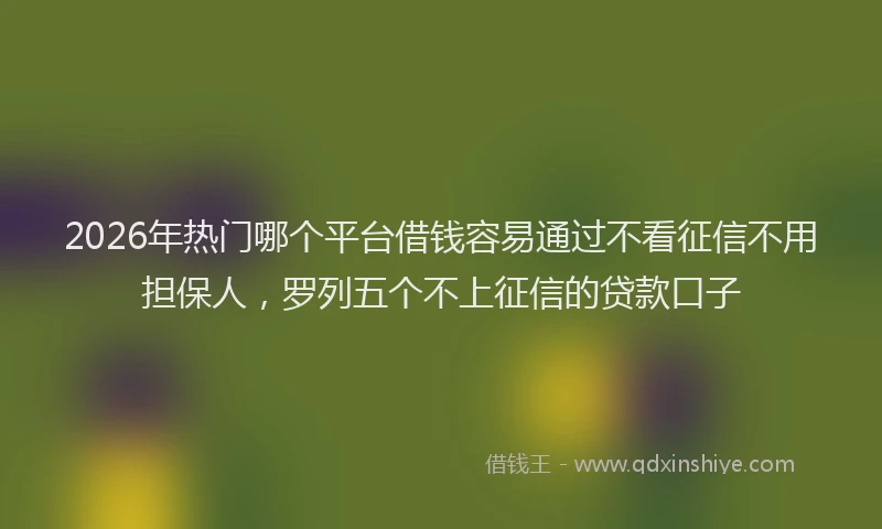 2026年热门哪个平台借钱容易通过不看征信不用担保人，罗列五个不上征信的贷款口子