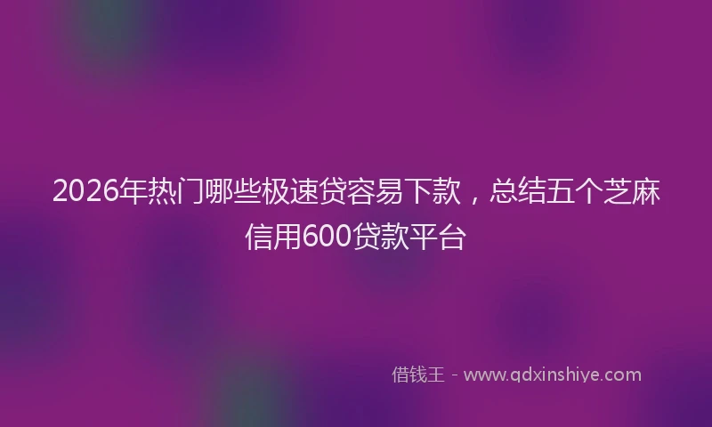 2026年热门哪些极速贷容易下款，总结五个芝麻信用600贷款平台