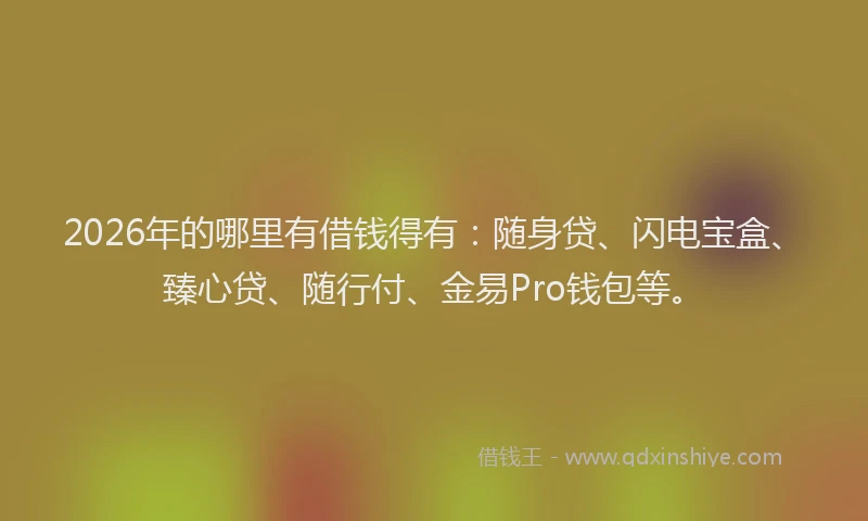 2026年的哪里有借钱得有：随身贷、闪电宝盒、臻心贷、随行付、金易Pro钱包等。