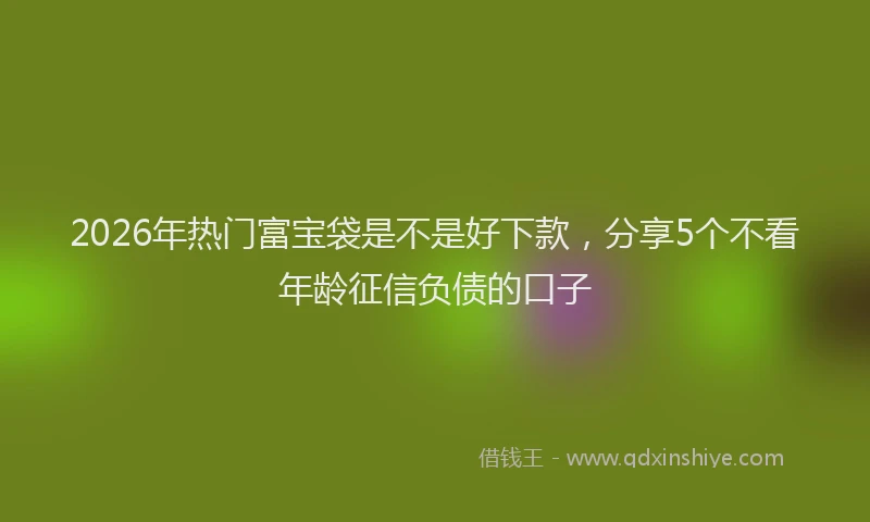 2026年热门富宝袋是不是好下款，分享5个不看年龄征信负债的口子