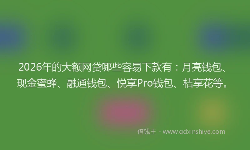 2026年的大额网贷哪些容易下款有：月亮钱包、现金蜜蜂、融通钱包、悦享Pro钱包、桔享花等。