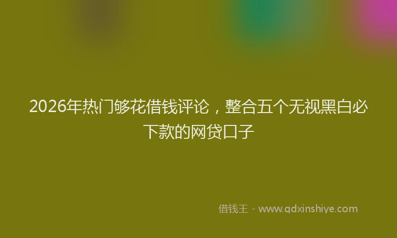 2026年热门够花借钱评论，整合五个无视黑白必下款的网贷口子