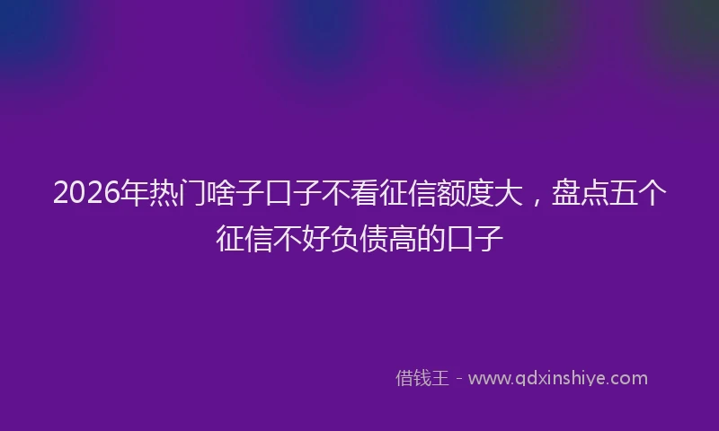 2026年热门啥子口子不看征信额度大，盘点五个征信不好负债高的口子