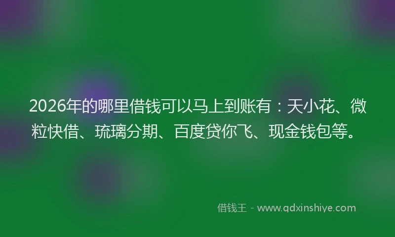 2026年的哪里借钱可以马上到账有：天小花、微粒快借、琉璃分期、百度贷你飞、现金钱包等。