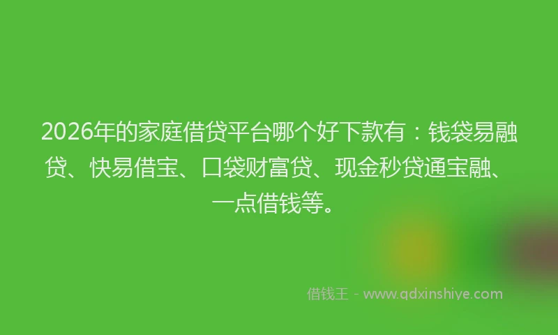 2026年的家庭借贷平台哪个好下款有：钱袋易融贷、快易借宝、口袋财富贷、现金秒贷通宝融、一点借钱等。
