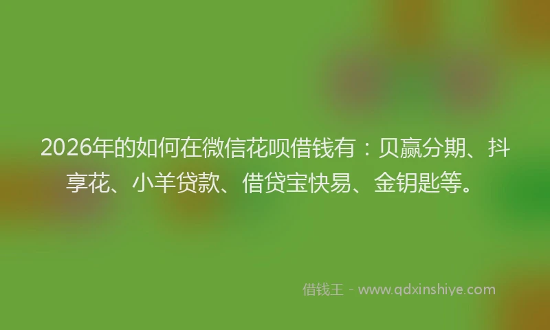 2026年的如何在微信花呗借钱有：贝赢分期、抖享花、小羊贷款、借贷宝快易、金钥匙等。