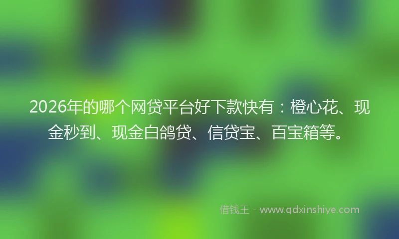 2026年的哪个网贷平台好下款快有：橙心花、现金秒到、现金白鸽贷、信贷宝、百宝箱等。