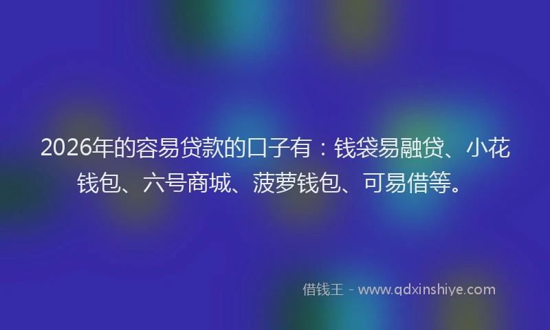 2026年的容易贷款的口子有：钱袋易融贷、小花钱包、六号商城、菠萝钱包、可易借等。