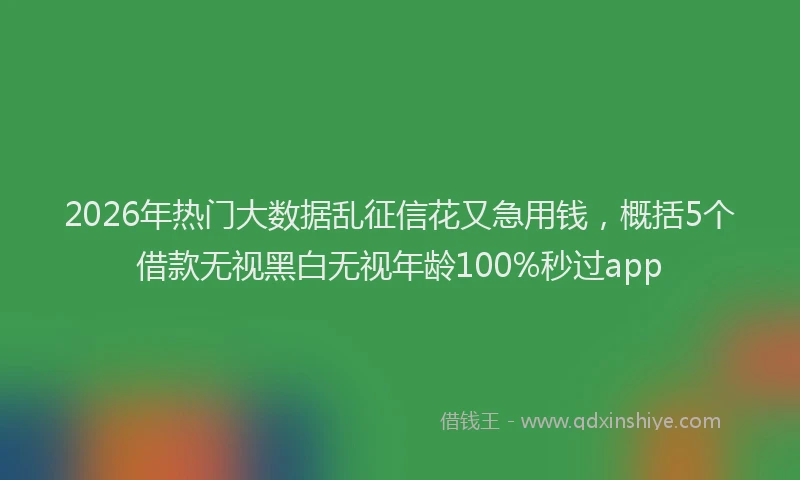 2026年热门大数据乱征信花又急用钱，概括5个借款无视黑白无视年龄100%秒过app