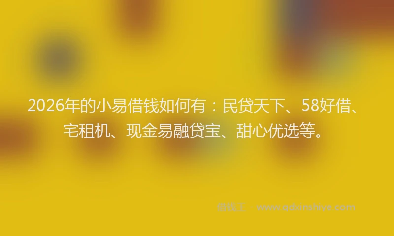 2026年的小易借钱如何有：民贷天下、58好借、宅租机、现金易融贷宝、甜心优选等。