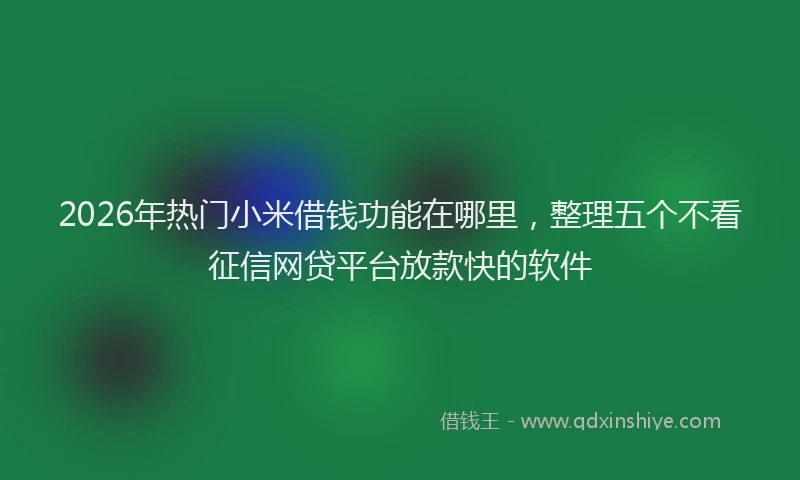 2026年热门小米借钱功能在哪里，整理五个不看征信网贷平台放款快的软件