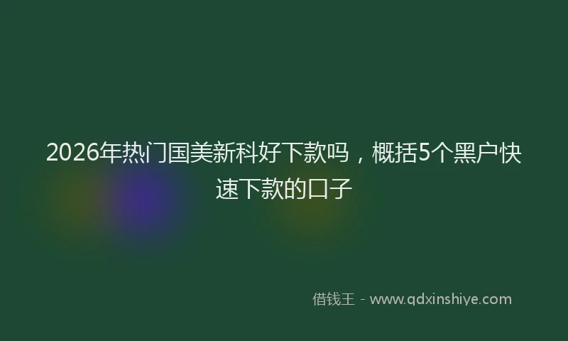 2026年热门国美新科好下款吗，概括5个黑户快速下款的口子