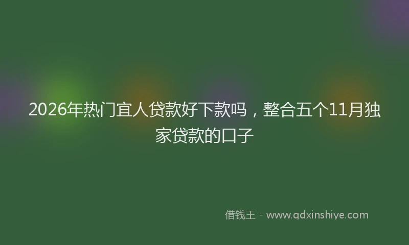 2026年热门宜人贷款好下款吗，整合五个11月独家贷款的口子