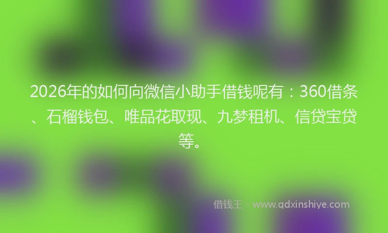 2026年的如何向微信小助手借钱呢有：360借条、石榴钱包、唯品花取现、九梦租机、信贷宝贷等。
