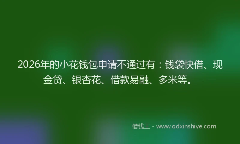 2026年的小花钱包申请不通过有：钱袋快借、现金贷、银杏花、借款易融、多米等。