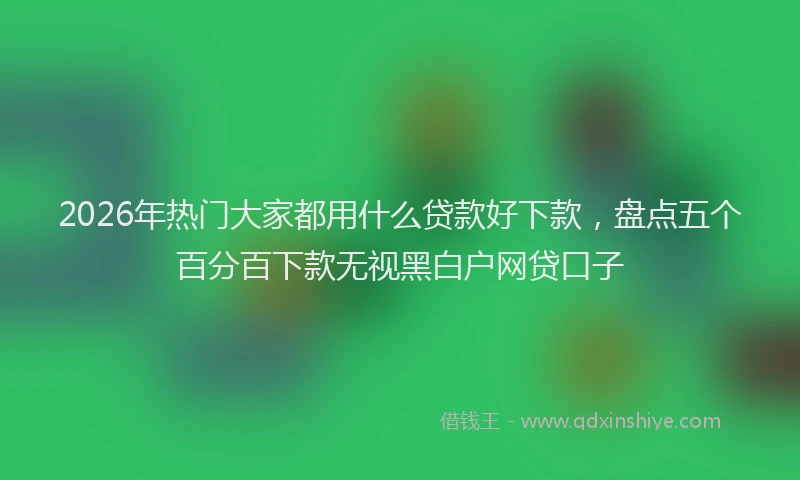 2026年热门大家都用什么贷款好下款，盘点五个百分百下款无视黑白户网贷口子