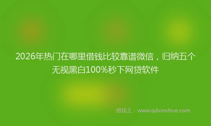 2026年热门在哪里借钱比较靠谱微信，归纳五个无视黑白100%秒下网贷软件