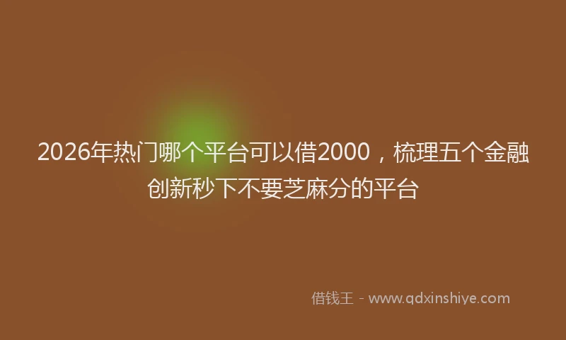 2026年热门哪个平台可以借2000，梳理五个金融创新秒下不要芝麻分的平台