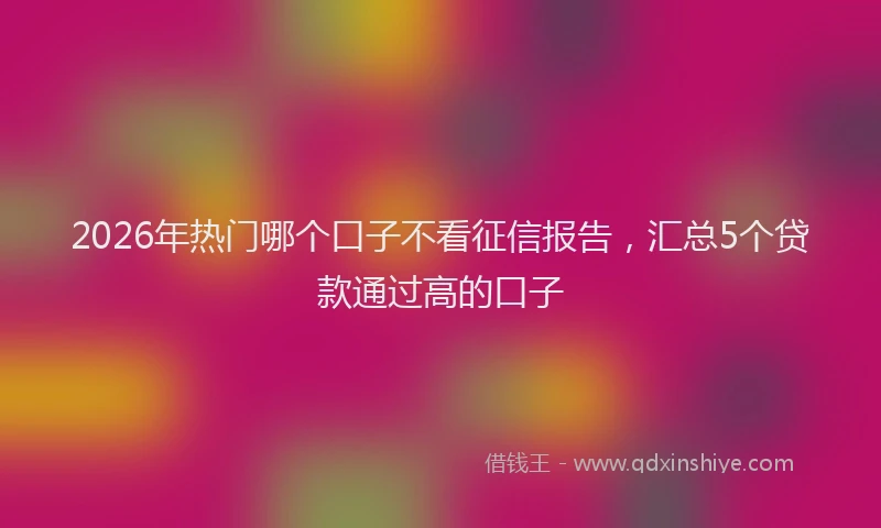 2026年热门哪个口子不看征信报告，汇总5个贷款通过高的口子