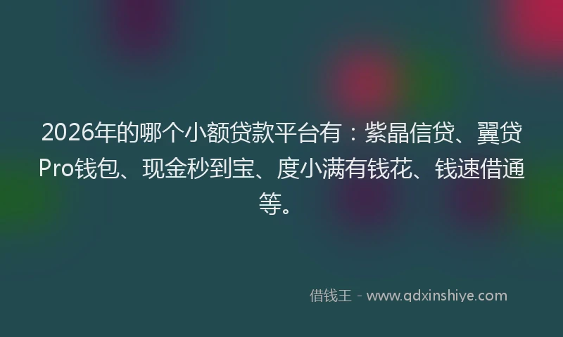 2026年的哪个小额贷款平台有：紫晶信贷、翼贷Pro钱包、现金秒到宝、度小满有钱花、钱速借通等。