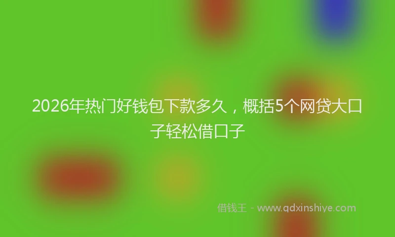 2026年热门好钱包下款多久，概括5个网贷大口子轻松借口子