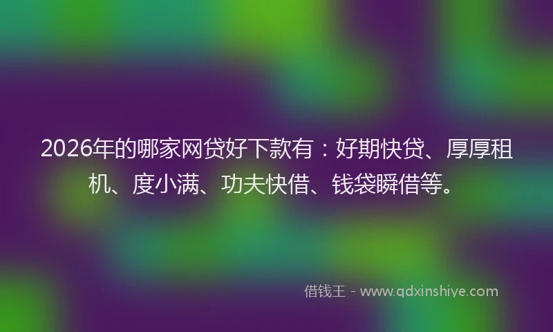 2026年的哪家网贷好下款有：好期快贷、厚厚租机、度小满、功夫快借、钱袋瞬借等。