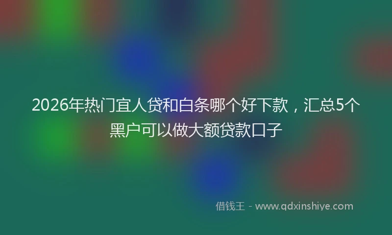 2026年热门宜人贷和白条哪个好下款，汇总5个黑户可以做大额贷款口子