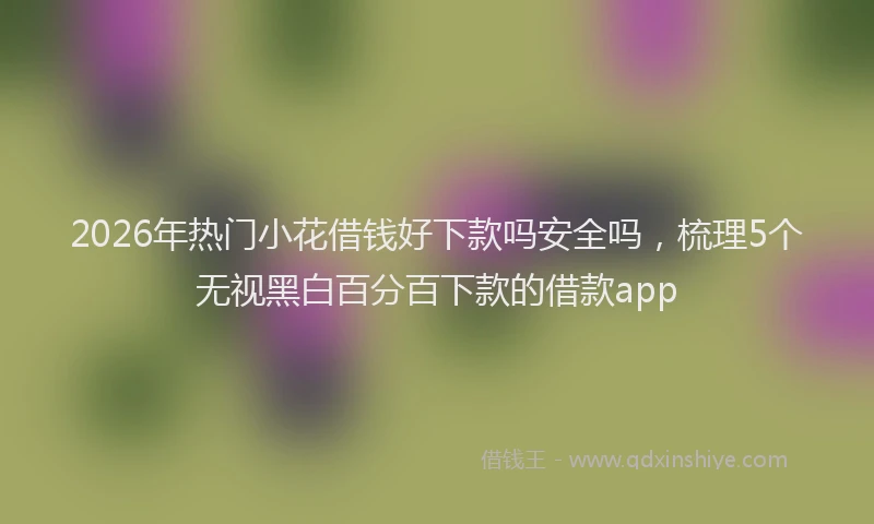 2026年热门小花借钱好下款吗安全吗,梳理5个无视黑白百分百下款的借款app