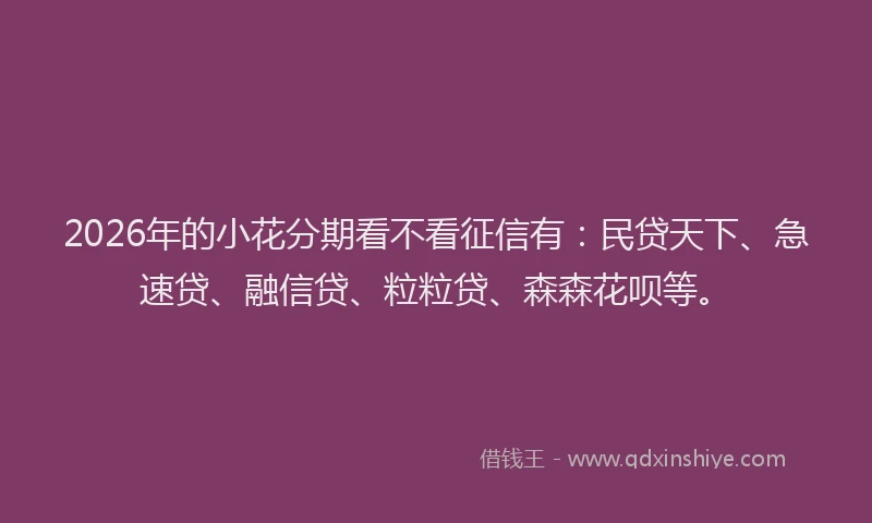 2026年的小花分期看不看征信有：民贷天下、急速贷、融信贷、粒粒贷、森森花呗等。
