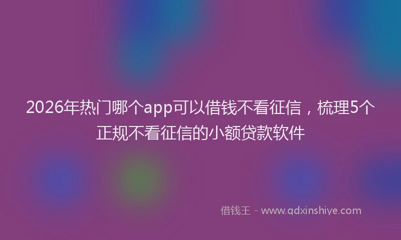 2026年热门哪个app可以借钱不看征信，梳理5个正规不看征信的小额贷款软件