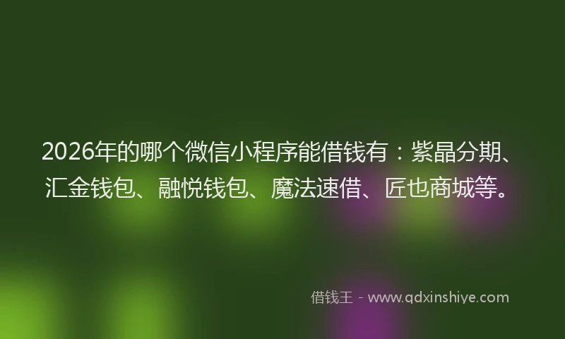 2026年的哪个微信小程序能借钱有：紫晶分期、汇金钱包、融悦钱包、魔法速借、匠也商城等。