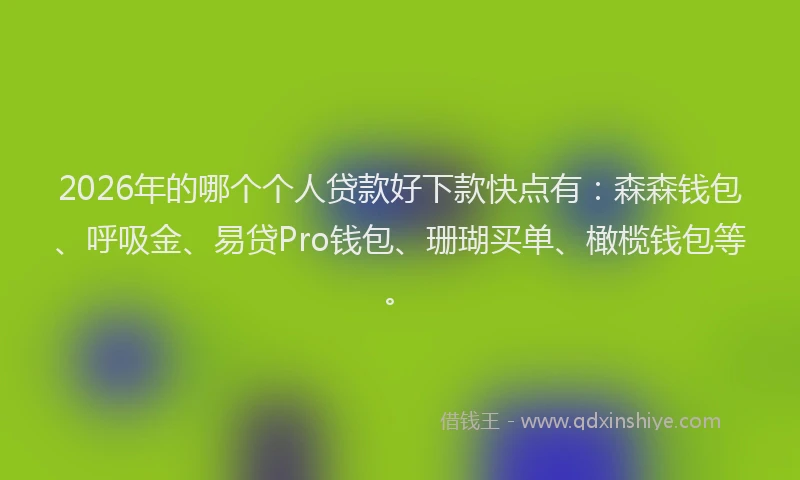 2026年的哪个个人贷款好下款快点有：森森钱包、呼吸金、易贷Pro钱包、珊瑚买单、橄榄钱包等。