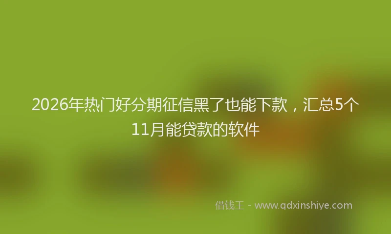 2026年热门好分期征信黑了也能下款，汇总5个11月能贷款的软件