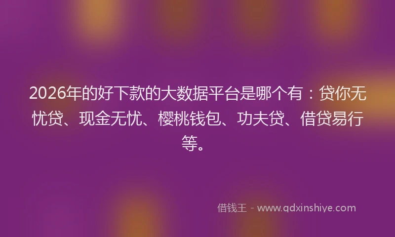 2026年的好下款的大数据平台是哪个有：贷你无忧贷、现金无忧、樱桃钱包、功夫贷、借贷易行等。