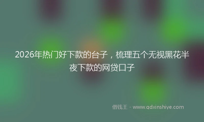 2026年热门好下款的台子，梳理五个无视黑花半夜下款的网贷口子