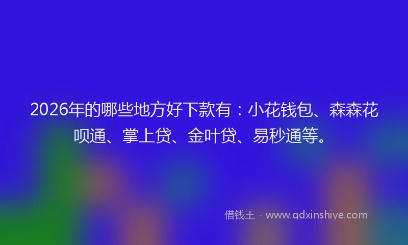 2026年的哪些地方好下款有：小花钱包、森森花呗通、掌上贷、金叶贷、易秒通等。