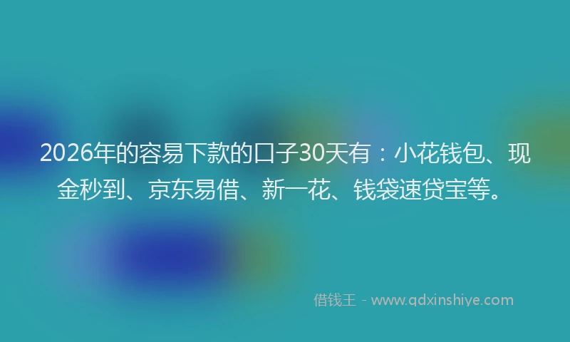 2026年的容易下款的口子30天有:小花钱包、现金秒到、京东易借、新一花、钱袋速贷宝等。