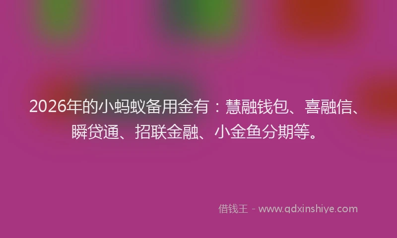 2026年的小蚂蚁备用金有：慧融钱包、喜融信、瞬贷通、招联金融、小金鱼分期等。