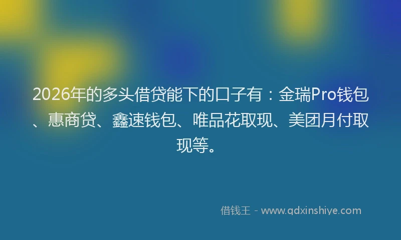2026年的多头借贷能下的口子有：金瑞Pro钱包、惠商贷、鑫速钱包、唯品花取现、美团月付取现等。