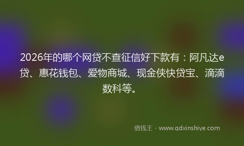 2026年的哪个网贷不查征信好下款有：阿凡达e贷、惠花钱包、爱物商城、现金侠快贷宝、滴滴数科等。