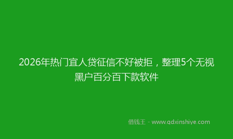 2026年热门宜人贷征信不好被拒，整理5个无视黑户百分百下款软件