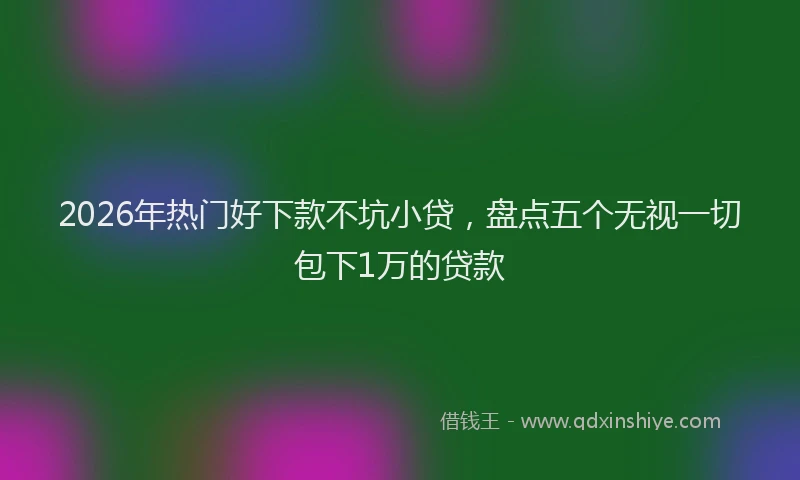 2026年热门好下款不坑小贷，盘点五个无视一切包下1万的贷款